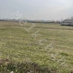 خرید و فروش زمین کشاورزی در گیلان _ ملکچین