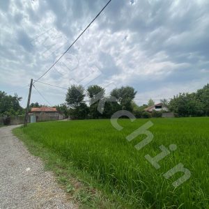 ویلا روستایی ویودار سنگر