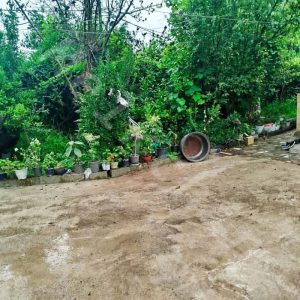 ویلا باغ در سنگر