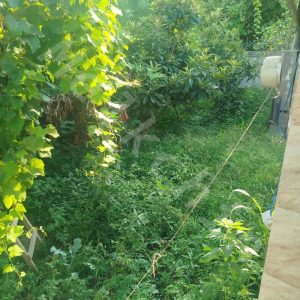ویلا با سند در سنگر ویشکاننک
