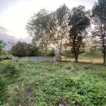زمین باغی داخل طرح در سنگر بنکده