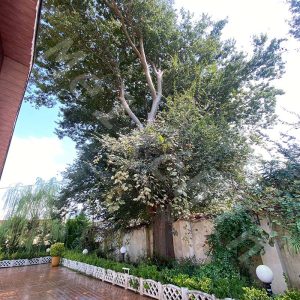 ویلا محوطه 1200 متری در قاضیان