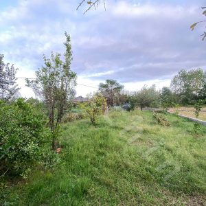 زمین مسکونی در سنگر روستا سده