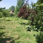 زمین مسکونی 2000 متر در روستای کنسستان سنگر
