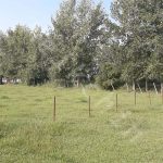 زمین 1500 متری مسکونی در بازقلعه سنگر