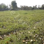 زمین مسکونی 1500 متری در سنگر