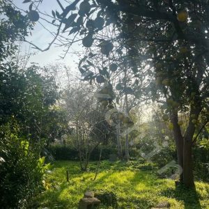 ویلای نو ساز 1989متری در دهبنه سنگر