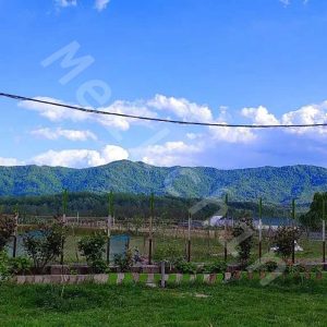 ویلای نوساز در قاضیان سنگر با سند نسق معتبر به متراژ 995 متر