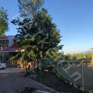 ویلا 425 متر در پیشکنار سنگر ویلای نو ساز با سند تک برگ