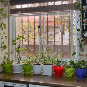 ویلایی به متراژ 188 متر با سند تک برگ در سنگر