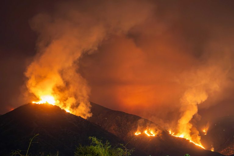 آتشسوزی جنگل های هیرکانی