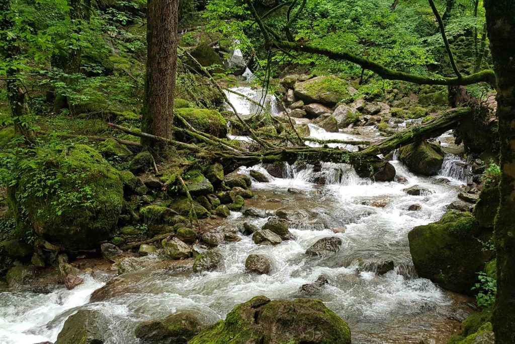 بحران آب در استان های پر آب