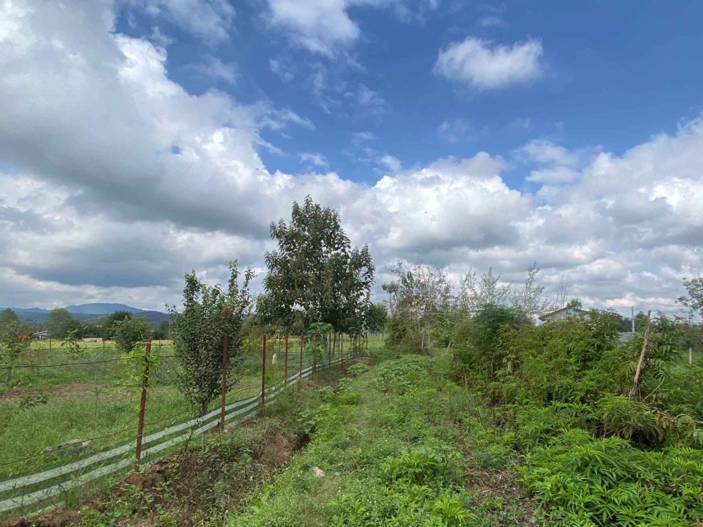 روستا قاضیان سنگر