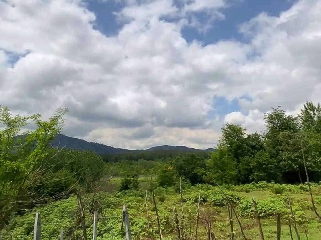 روستا کچا سنگر