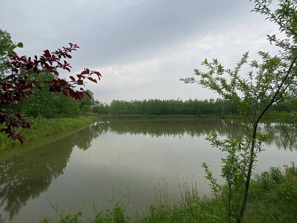 راهنمای خرید زمین در گیلان با کاربری گردشگری