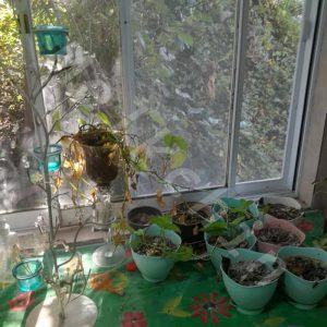 255 متر ویلا در روستای قاضیان شهر سنگر با یک خواب اتاق