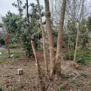 ویلایی کلنگی با 1100 متر زمین در روستای گیل پرده سر در سنگر و 55 متر زیر بنا