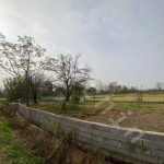 320 متر زمین با سند تک برگ در روستای سده در بخش سنگر
