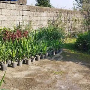ویلا باغی با سند تک برگ دارای دو خواب اتاق به متراژ 1500 متر در روستای شاقاجی شهر سنگر