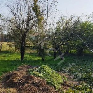 ویلا باغی دو خوابه به متراژ 1500 متر با سند تک برگ در روستای شاقاجی شهر سنگر