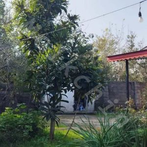ویلایی به متراژ 1500 متر با سند تک برگ در شاقاجی شهر سنگر