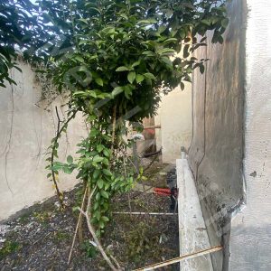 ویلایی دو خوابه به متراژ 715 متر در امشه شهر سنگر