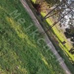 200 متر زمین در روستای قاضیان در بخش سنگر
