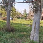 زمینی مسکونی به متراژ 200 متر در روستای قاضیان در بخش سنگر