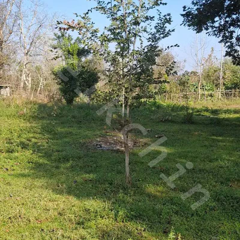 200 متر زمین با کاربری مسکونی در روستای قاضیان در سنگر