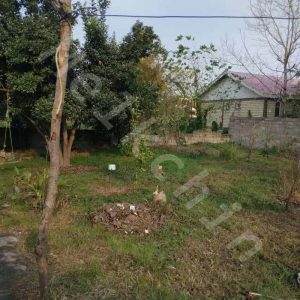 ویلایی دو خوابه در بخش سنگر در شهر رشت به متراژ 600 متر