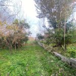 زمین مسکونی با سند تک برگ به متراژ 199 متر در بخش سنگر