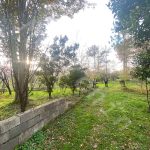 زمین دو پلاکه به متراژ های 223 متر و 199 متر با سند تک برگ در بخش سنگر