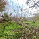 زمین دو پلاکه با سند تک برگ به متراژ های 223 متر و 199 متر در بخش سنگر