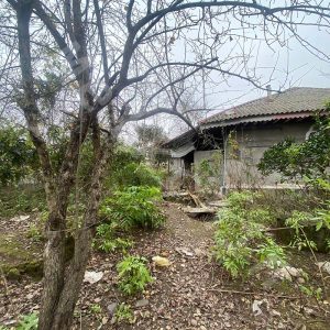 90 متر ویلای روستایی بر روی زمین 1100 متری در بنکه در سنگر