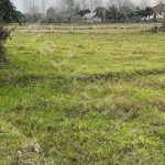زمین با کاربری کشاورزی 4500 متری در روستای باز قلعه ملک در بخش سنگر