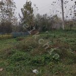 200 متر زمین مسکونی در طالم سه شنبه در سنگر