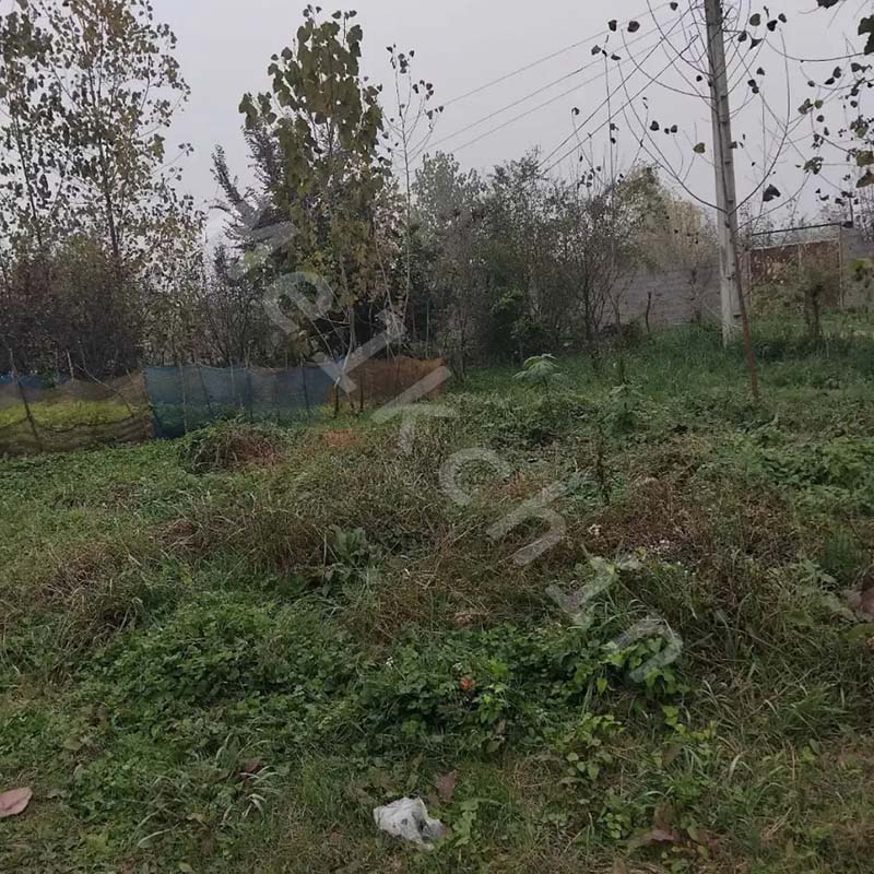 200 متر زمین مسکونی در طالم سه شنبه در سنگر