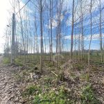 زمین 3 هزار متری در جوبنه در سنگر