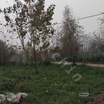 200 متر زمین مسکونی در روستای طالم سه شنبه در بخش سنگر