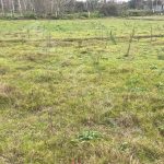 4500 متر زمین کشاورزی در روستای باز قلعه ملک در بخش سنگر