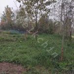 زمینی با کاربری مسکونی به متراژ 200 متر در طالم سه شنبه در بخش سنگر