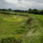 907 متر زمین در روستای کنسستان در بخش سنگر
