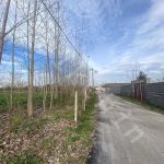 3 هزار متر زمین با کاربری مسکونی در روستای جوبنه در بخش سنگر