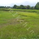 زمین با کاربری مسکونی 907 متری در روستای کنسستان در بخش سنگر