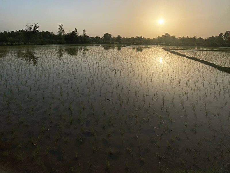 راهنمای خرید ملک در سنگر