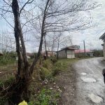 زمین 238 متری در گیلان سنگر