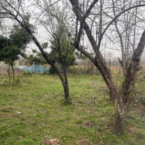 ویلا یک خواب روستایی سند دار