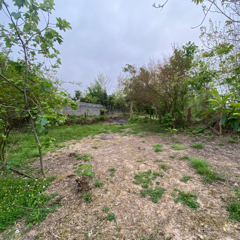 زمین دارای قولنامه در سنگر روستای ویشکاننک