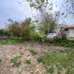 زمین 30 متری در ویشکاننک