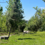 زمین روستایی 500 متری در روستای شهرستان بخش سنگر